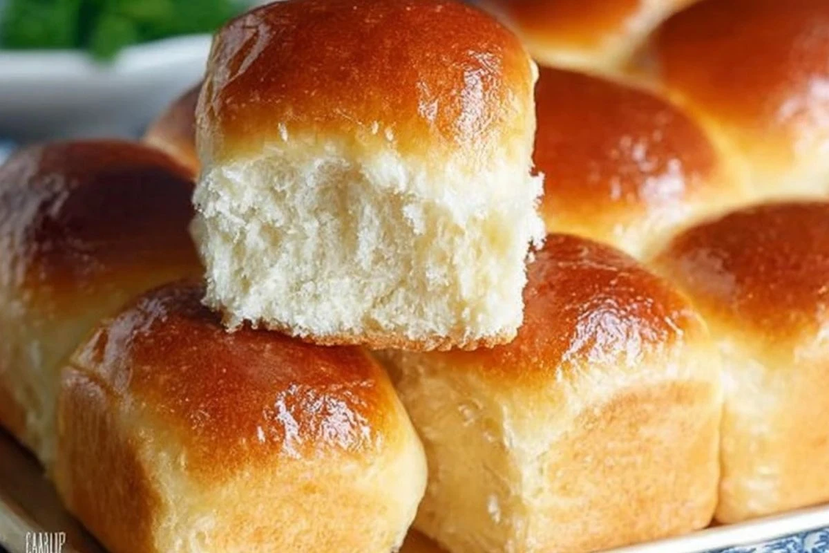 Homemade Dinner Rolls