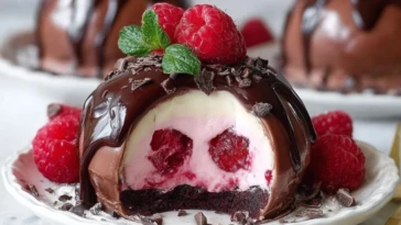 Chocolate Raspberry Cheesecake Domes