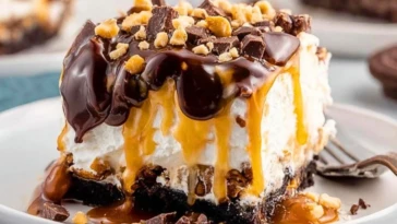 No-Bake Turtle Lasagna Dessert
