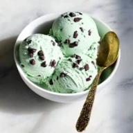 Mint Chocolate Chip Protein Ice Cream