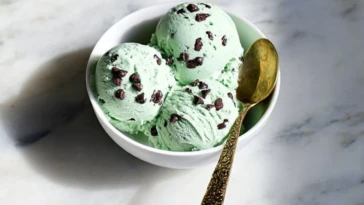 Mint Chocolate Chip Protein Ice Cream
