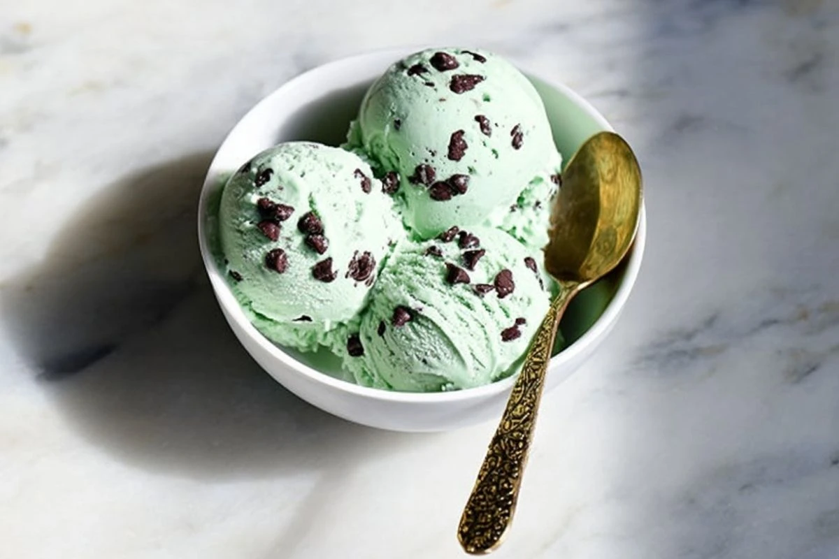 Mint Chocolate Chip Protein Ice Cream